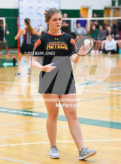 Thumbnail 2 in 2018 AIA Girls Badminton State Championships   photogallery.
