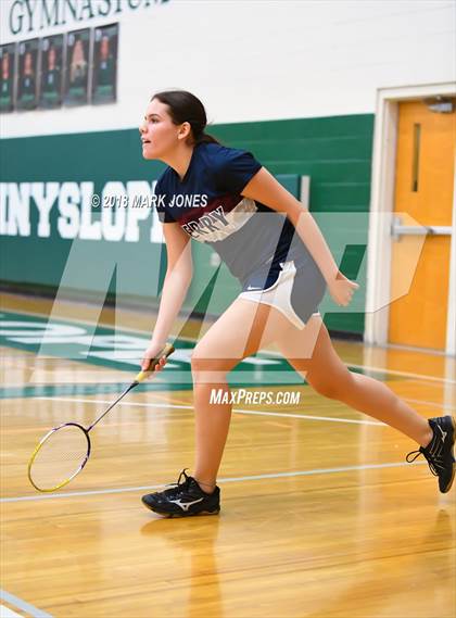 Thumbnail 1 in 2018 AIA Girls Badminton State Championships   photogallery.