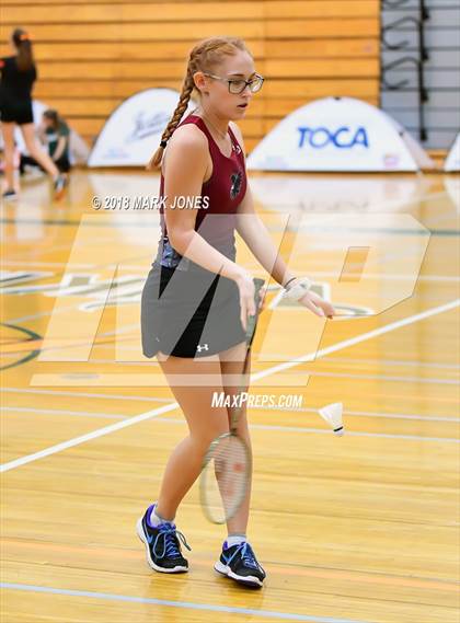 Thumbnail 1 in 2018 AIA Girls Badminton State Championships   photogallery.
