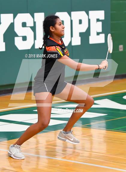 Thumbnail 3 in 2018 AIA Girls Badminton State Championships   photogallery.