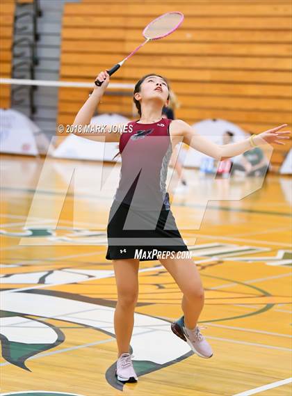 Thumbnail 3 in 2018 AIA Girls Badminton State Championships   photogallery.