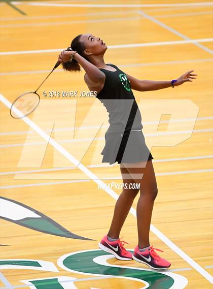 Thumbnail 1 in 2018 AIA Girls Badminton State Championships   photogallery.