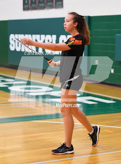 Thumbnail 2 in 2018 AIA Girls Badminton State Championships   photogallery.