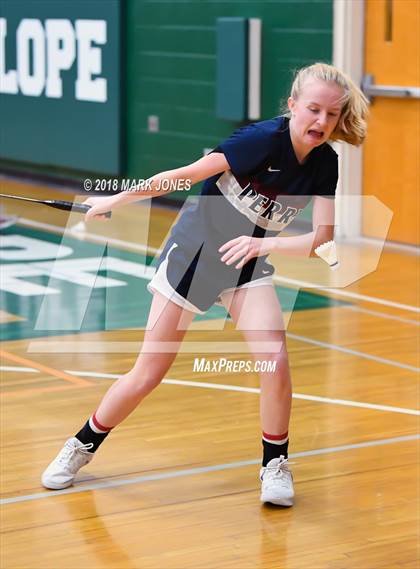 Thumbnail 1 in 2018 AIA Girls Badminton State Championships   photogallery.