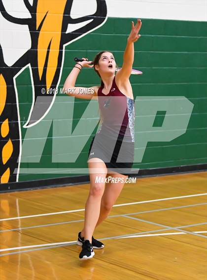 Thumbnail 1 in 2018 AIA Girls Badminton State Championships   photogallery.