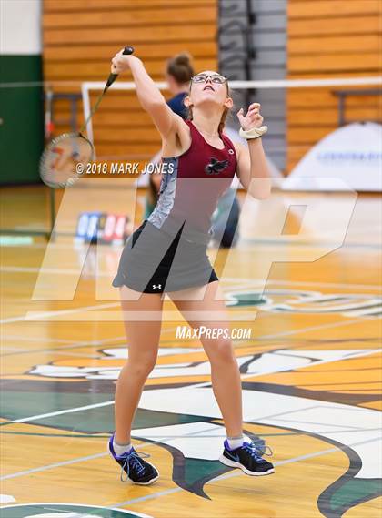 Thumbnail 1 in 2018 AIA Girls Badminton State Championships   photogallery.