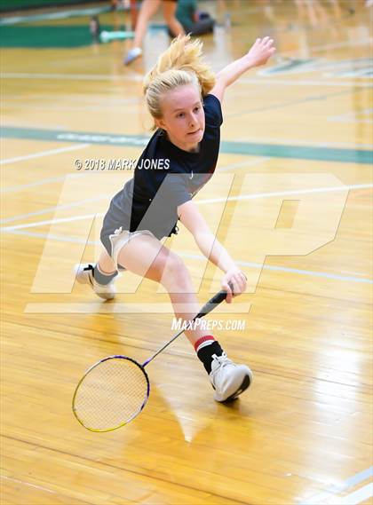 Thumbnail 3 in 2018 AIA Girls Badminton State Championships   photogallery.