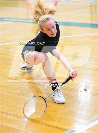 Thumbnail 1 in 2018 AIA Girls Badminton State Championships   photogallery.