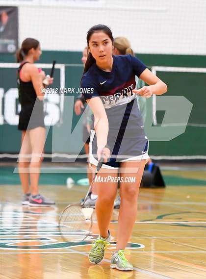 Thumbnail 2 in 2018 AIA Girls Badminton State Championships   photogallery.