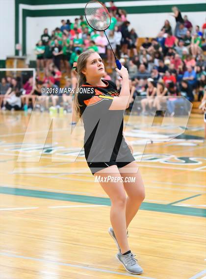 Thumbnail 3 in 2018 AIA Girls Badminton State Championships   photogallery.