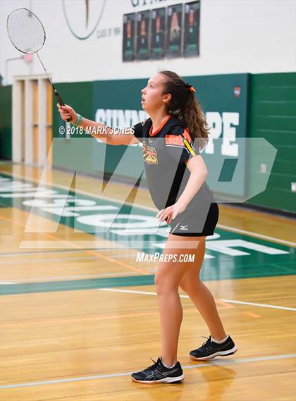 Thumbnail 1 in 2018 AIA Girls Badminton State Championships   photogallery.