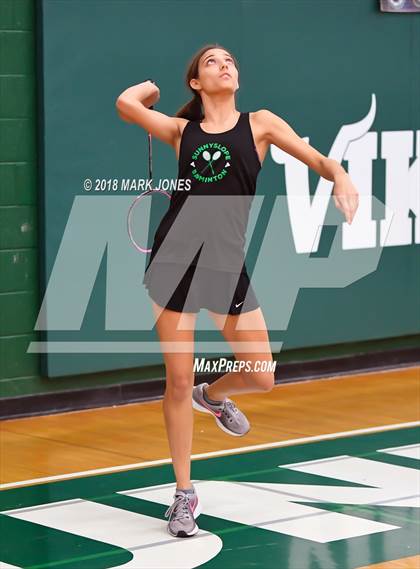 Thumbnail 1 in 2018 AIA Girls Badminton State Championships   photogallery.