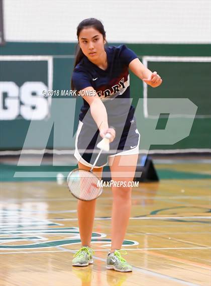 Thumbnail 1 in 2018 AIA Girls Badminton State Championships   photogallery.