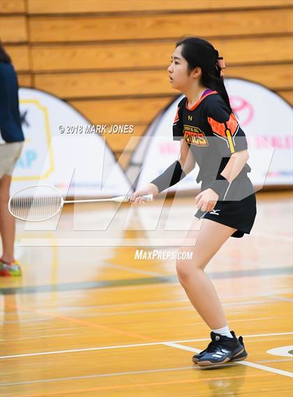 Thumbnail 3 in 2018 AIA Girls Badminton State Championships   photogallery.