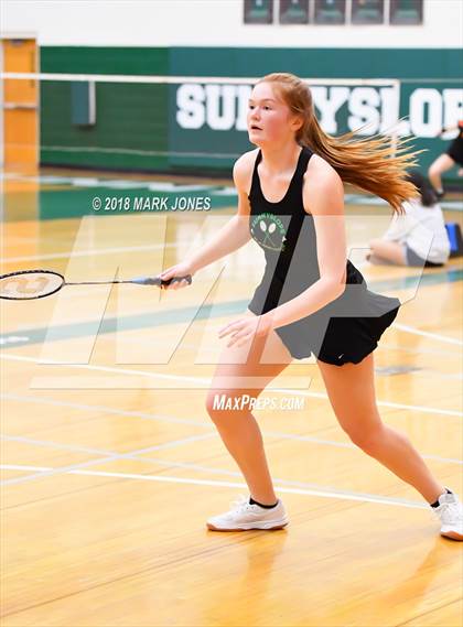 Thumbnail 3 in 2018 AIA Girls Badminton State Championships   photogallery.