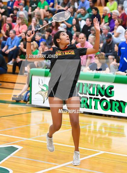 Thumbnail 1 in 2018 AIA Girls Badminton State Championships   photogallery.