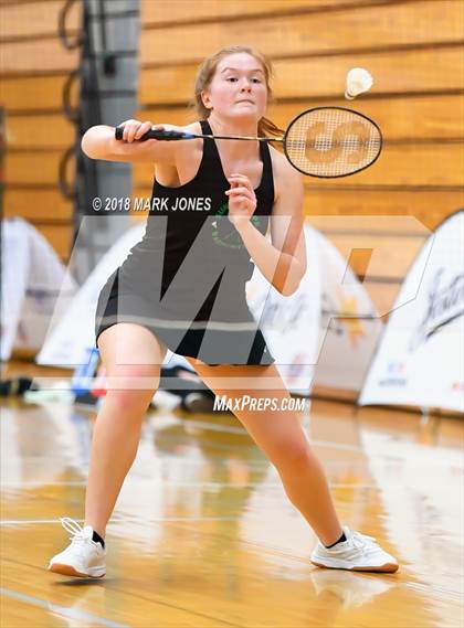 Thumbnail 3 in 2018 AIA Girls Badminton State Championships   photogallery.