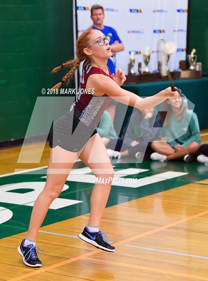 Thumbnail 3 in 2018 AIA Girls Badminton State Championships   photogallery.