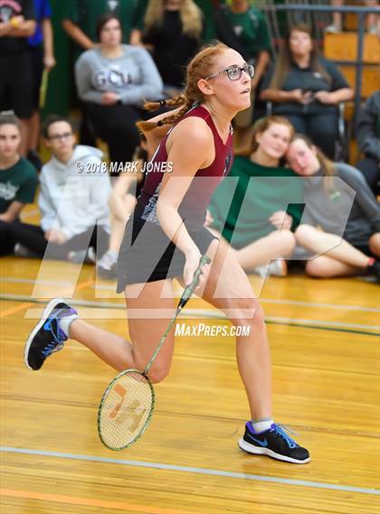 Thumbnail 2 in 2018 AIA Girls Badminton State Championships   photogallery.