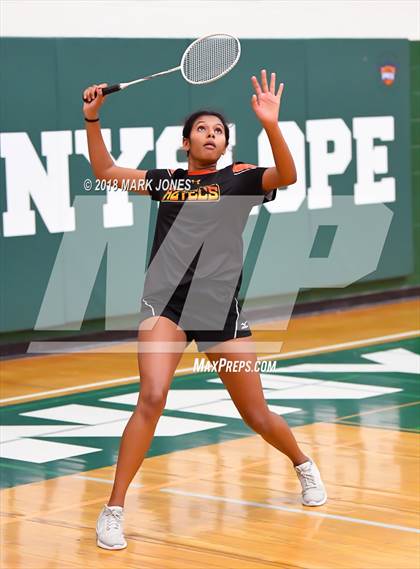 Thumbnail 2 in 2018 AIA Girls Badminton State Championships   photogallery.