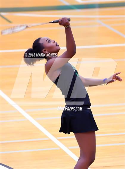 Thumbnail 2 in 2018 AIA Girls Badminton State Championships   photogallery.