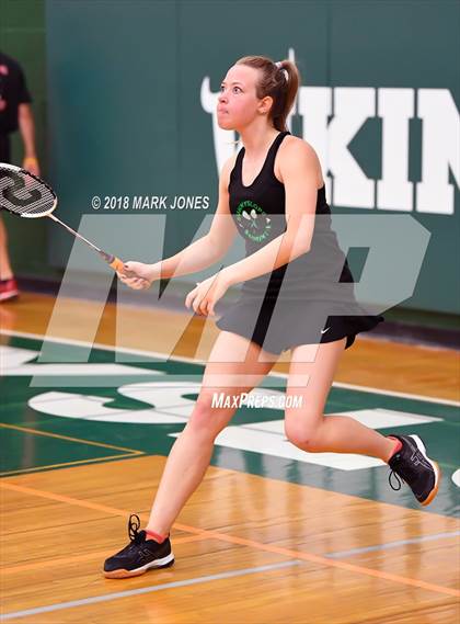 Thumbnail 3 in 2018 AIA Girls Badminton State Championships   photogallery.