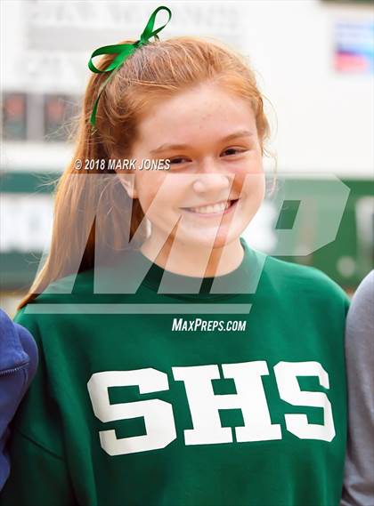 Thumbnail 3 in 2018 AIA Girls Badminton State Championships   photogallery.