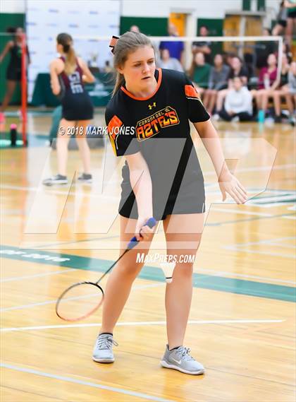 Thumbnail 1 in 2018 AIA Girls Badminton State Championships   photogallery.