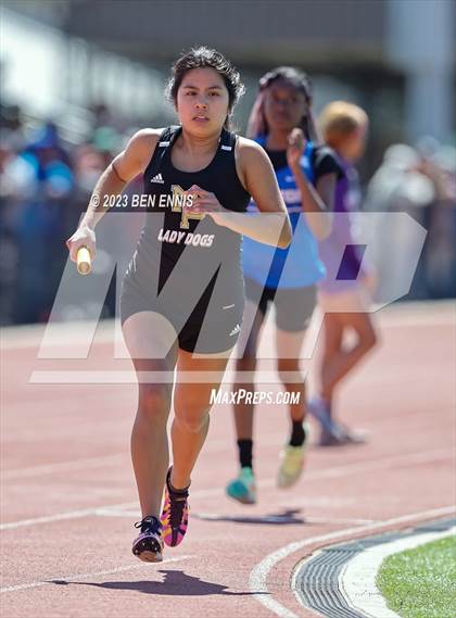 Thumbnail 2 in James Rollerson Memorial Relays (Relays) photogallery.