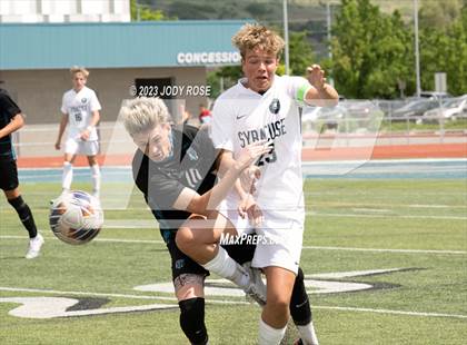 Thumbnail 3 in Syracuse @ Farmington  photogallery.