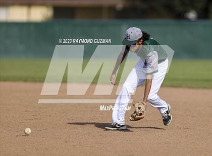 Thumbnail 2 in Torres @ Hoover photogallery.