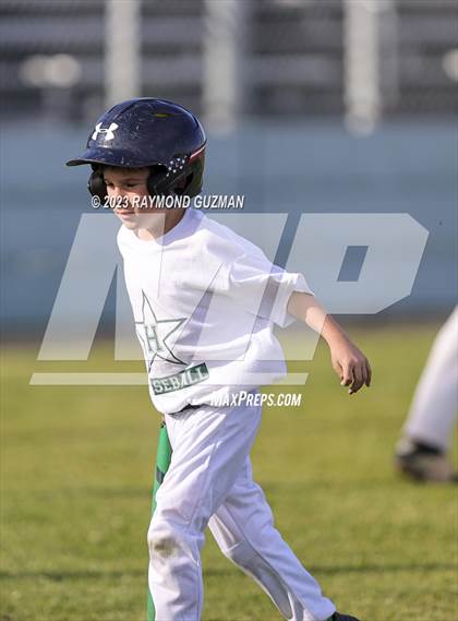 Thumbnail 3 in Torres @ Hoover photogallery.