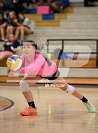 Photo from the gallery "Trinity @ Anderson"