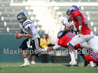 Thumbnail 3 in Marin Catholic vs. Serra (CIF State D3 Final) photogallery.