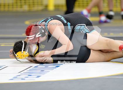 Thumbnail 2 in CVAA Championships photogallery.