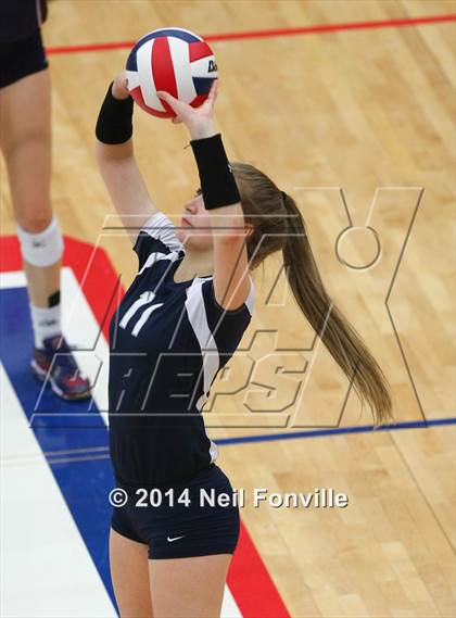 Thumbnail 1 in Flower Mound @ Allen photogallery.