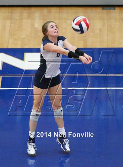Thumbnail 1 in Flower Mound @ Allen photogallery.