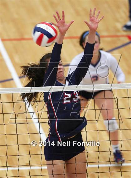 Thumbnail 2 in Flower Mound @ Allen photogallery.