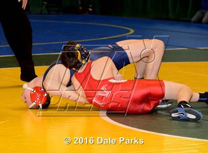Thumbnail 2 in NYSPHSAA Championships (Division 2 Semifinals) photogallery.