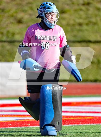 Thumbnail 1 in Franklin vs Walpole (MIAA Division 1 Final) photogallery.