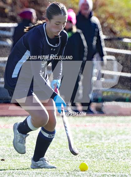 Thumbnail 3 in Franklin vs Walpole (MIAA Division 1 Final) photogallery.