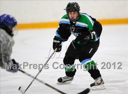 Thumbnail 2 in Fermi/Enfield @ West Haven photogallery.
