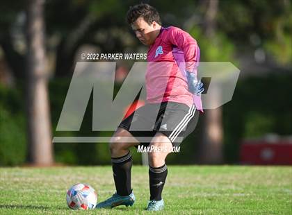 Thumbnail 2 in Bonnabel @ Archbishop Rummel photogallery.