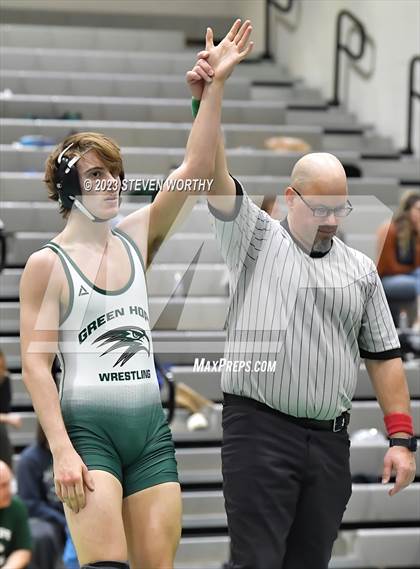 Thumbnail 1 in Green Level vs Green Hope (Combined levels) photogallery.