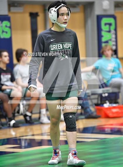 Thumbnail 2 in Green Level vs Green Hope (Combined levels) photogallery.