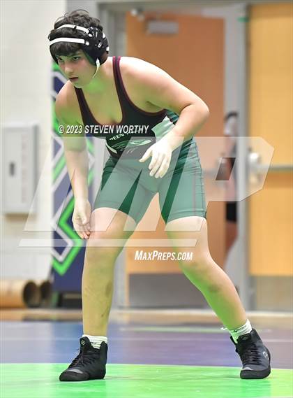 Thumbnail 2 in Green Level vs Green Hope (Combined levels) photogallery.