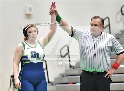 Thumbnail 1 in Green Level vs Green Hope (Combined levels) photogallery.