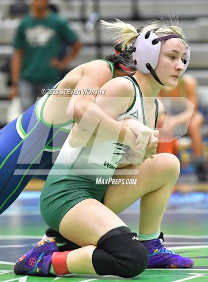 Thumbnail 2 in Green Level vs Green Hope (Combined levels) photogallery.