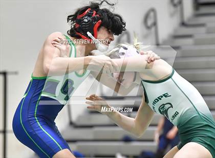 Thumbnail 1 in Green Level vs Green Hope (Combined levels) photogallery.