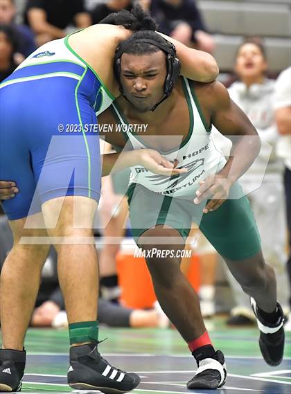 Thumbnail 2 in Green Level vs Green Hope (Combined levels) photogallery.